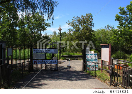 水元公園:水辺のさと自然保護区 水元公園:水辺のさと自然保護区 68413381