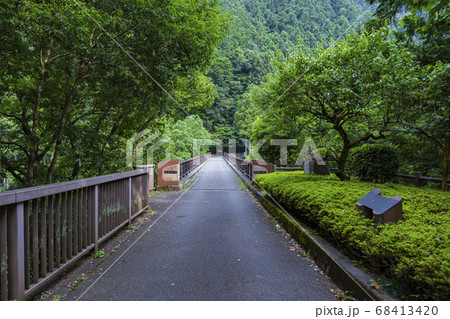 奥多摩　数馬峡に架かる数馬峡橋　8月 68413420