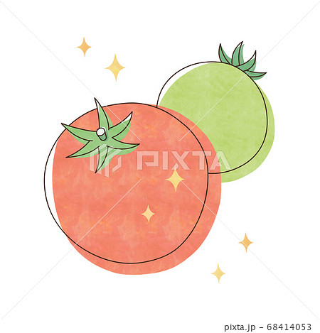 新鮮なオレンジ色と緑色のトマトのイラスト素材