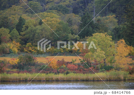 秋の八幡平・秋田大沼にて 秋の八幡平・秋田大沼にて 68414766