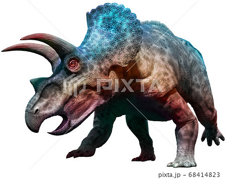 Triceratops dinosaur charging 3D illustrationのイラスト素材 68414823