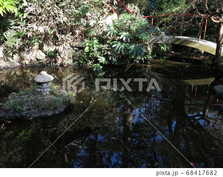 逗子市の岩殿寺にある鏡花の池 逗子市の岩殿寺にある鏡花の池 68417682
