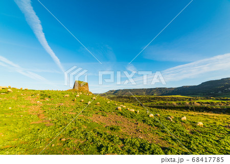 Sheep by Nuraghe Paddaggiu Leni 68417785