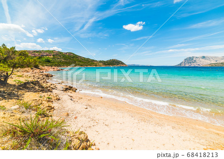 turquoise water in Capo Coda Cavallo turquoise water in Capo Coda Cavallo 68418213