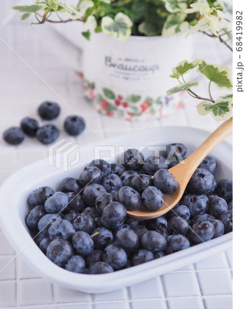 とれたてブルーベリーの素材 68419982