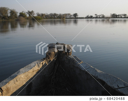 モコロに乗りながら見たオカバンゴ湿地帯 68420488