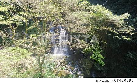 愛媛県の霧合の滝 愛媛県の霧合の滝 68420596