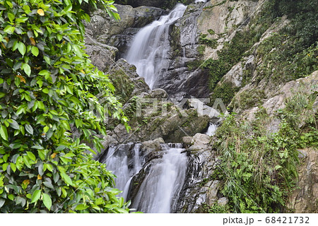 【鹿児島県　奄美大島】アランガチの滝 68421732