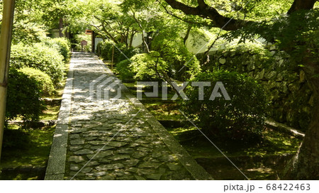 青もみじの参道・一休寺 68422463