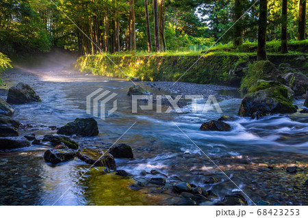 （静岡県）夏の陣馬の滝　早朝の光芒 68423253