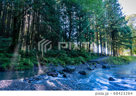 （静岡県）夏の陣馬の滝　早朝の光芒 68423264