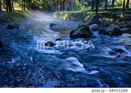 （静岡県）夏の陣馬の滝　早朝の光芒 68423266