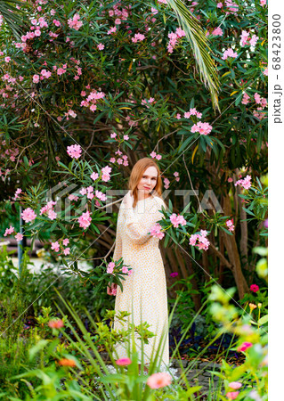 a woman in a white dress among blooming rose trees 68423800