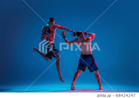 MMA. Two professional fighters punching or boxing isolated on blue studio background in neon 68424247