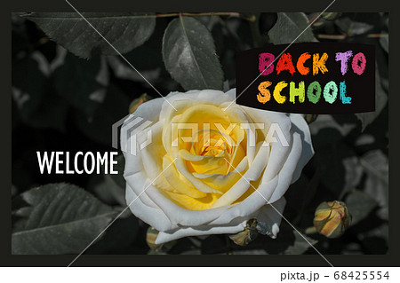 Back to School banner. Education and school Back to School banner. Education and school 68425554