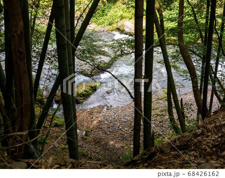 秋川渓谷の滝と清流 華水の滝へ向かう山道 秋川渓谷の滝と清流 華水の滝へ向かう山道 68426162
