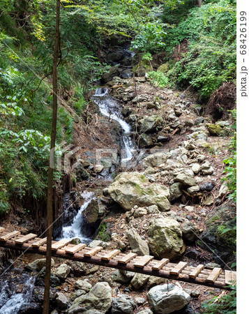 秋川渓谷の滝と清流　華水の滝へ向かう山道　丸太橋 68426199
