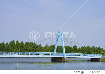 都立水元公園 68427845