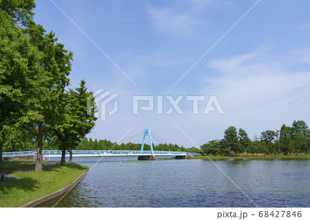 都立水元公園 68427846