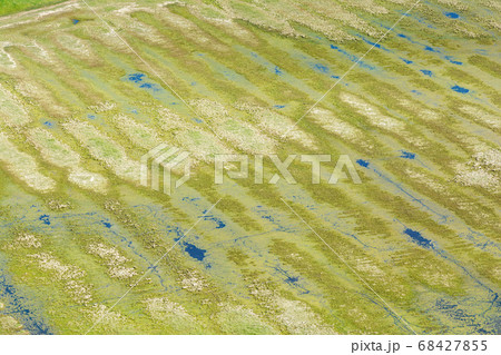 Green nature background Green nature background 68427855