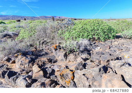 Path to Cuevas de los Verdes, Lanzarote 68427880