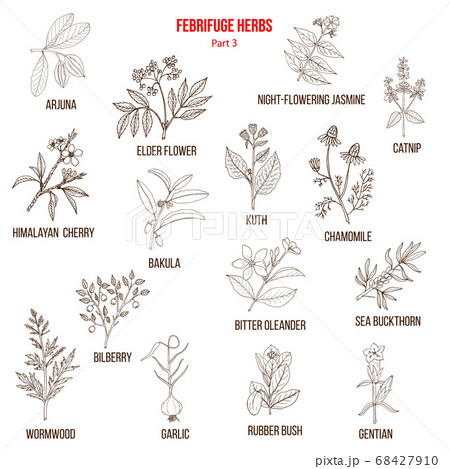 Febrifuge herbs collection. Part 3 68427910
