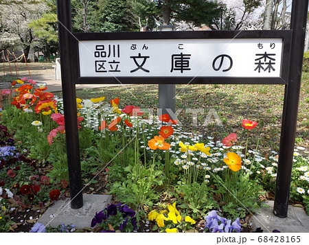 文庫の森 68428165