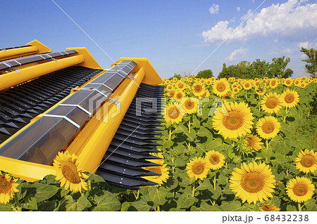 Big harvester in the field on a autumn sunny day Big harvester in the field on a autumn sunny day 68432238