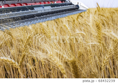 Modern combines at field Modern combines at field 68432239