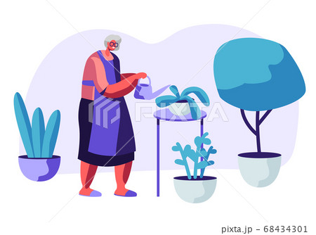 Senior Woman Gardening Hobby. Aged Grey Haired 68434301
