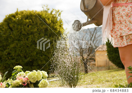 watering can for watering flowers in hands of girl 68434883