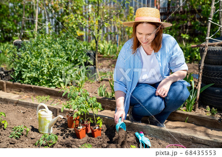 woman in hat planting seedlings woman in hat planting seedlings 68435553