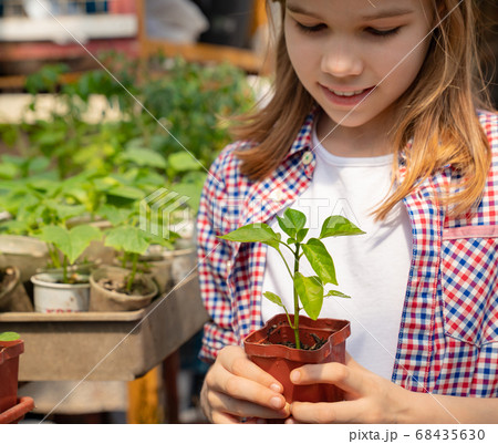 Adorable teen girl kid in hat with seedlings 68435630