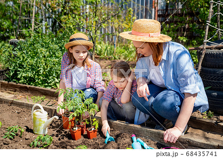 mom and her cute daughters planting seedlings mom and her cute daughters planting seedlings 68435741