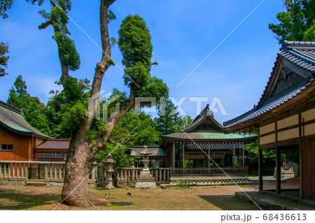 小浜神社 小浜神社 68436613