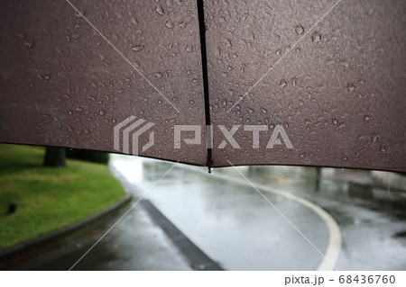 雨 雨 68436760