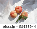 採れたて新鮮な桃　俯瞰ショット 68436944