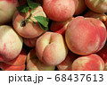 採れたて新鮮な桃　クローズアップ 68437613