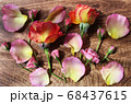 木のボードに並んだ花　背景 68437615