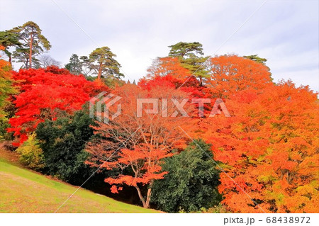 秋の西行戻しの松公園 秋の西行戻しの松公園 68438972
