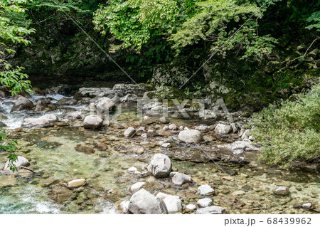 【長野県】阿寺渓谷（8月） 68439962