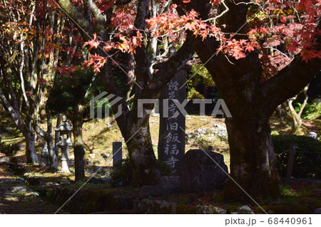 鶏足寺・参道 68440961