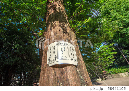 コビッド 19への注意喚起 コビッド 19への注意喚起 68441106