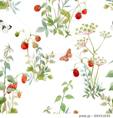 Beautiful vector seamless floral pattern with watercolor forest plants and berries. Stock illustration. Beautiful vector seamless floral pattern with watercolor forest plants and berries. Stock illustration. 68441649