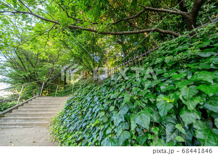 三田丘の上公園 68441846