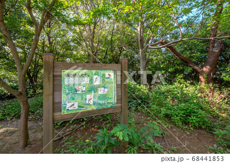 三田丘の上公園 三田丘の上公園 68441853