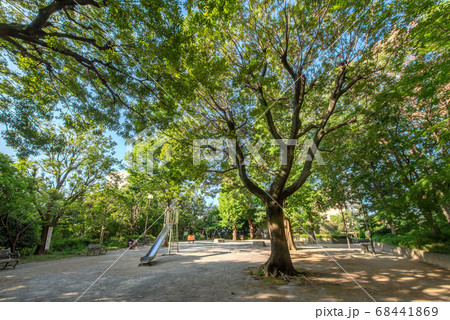 三田丘の上公園 68441869