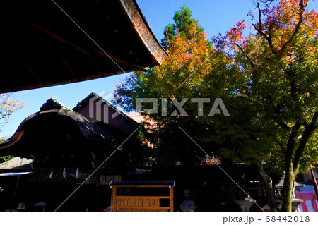 下御霊神社 68442018
