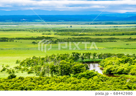 北海道 釧路湿原 細岡展望台からの眺望 北海道 釧路湿原 細岡展望台からの眺望 68442980