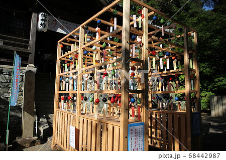 おこべさん おこべさん 68442987